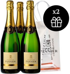 3 Champagne Pannier Brut Sélection + 2 Ice bag