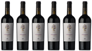 Box Primitivo Il Pumo 6 bottiglie