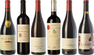 Grenache ou grenaches ?