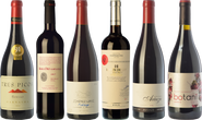 Garnacha or Garnachas?