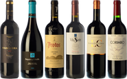 Ribera del Duero's diversity