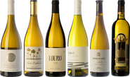 The noble Godello