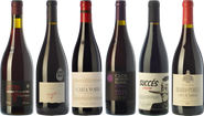 Essential wines from Conca de Barberà