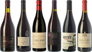 Essential wines from Conca de Barberà
