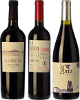 Club Vinissimus Selection February 2021