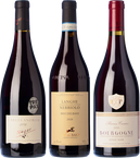 Club Vinissimus Selection November 2021