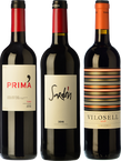 Selección Club Vinissimus Octubre 2021