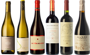 High Altitude Wines