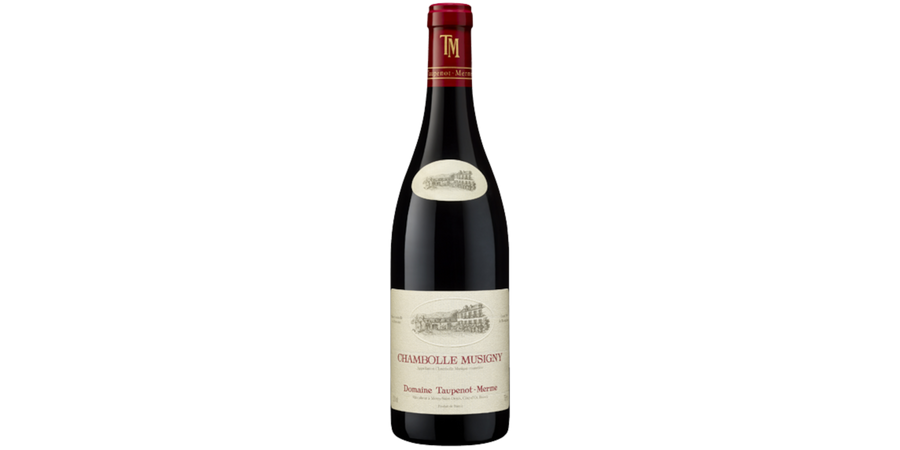 photo Taupenot-Merme Chambolle Musigny 2021