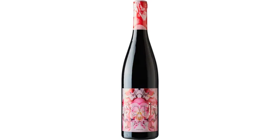 Gotín del Risc Mencía 2021 · Buy it for £13.10 at Vinissimus